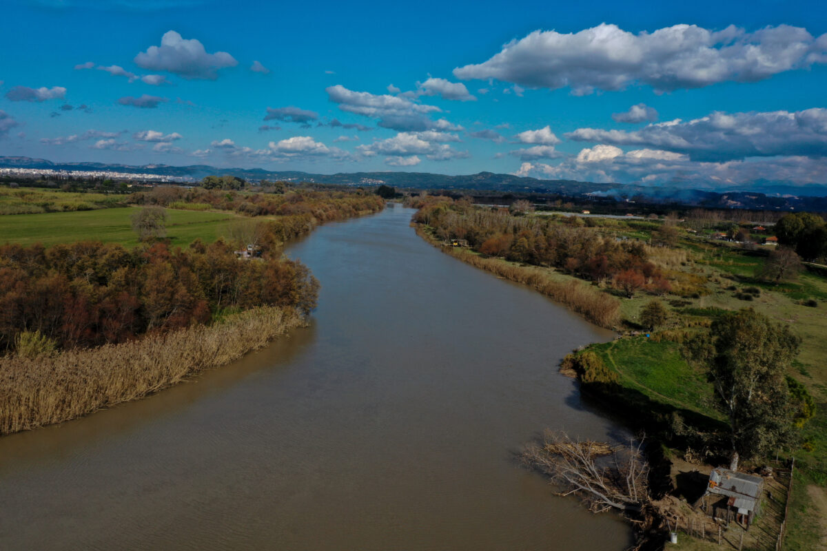 Εισαγγελική παρέμβαση για τα δεκάδες νεκρά πρόβατα στον Αλφειό ποταμό