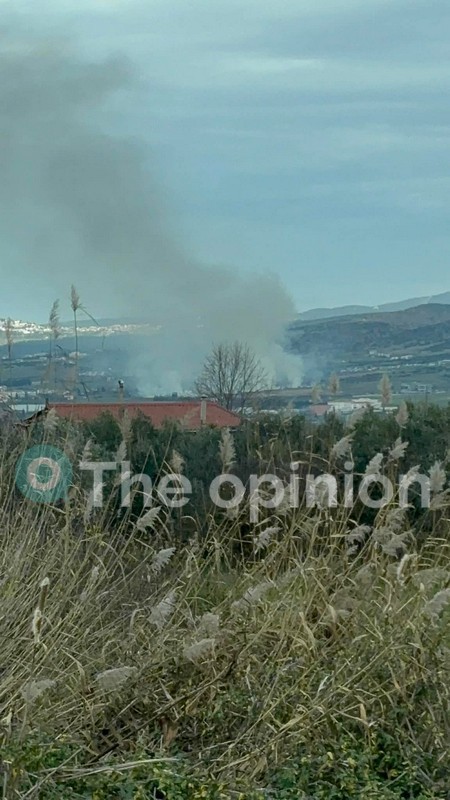 Φωτιά στη Νέα Ραιδεστό Θεσσαλονίκης (VIDEO)