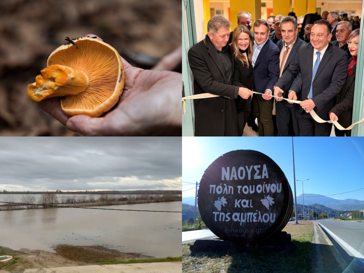 Τα 3.000 στρέμματα στο Διδυμότειχο που καλύφθηκαν από νερά, η μανιταροκαλλιέργια στον Χολομόντα και η μονάδα παραγωγής ενέργειας στη Δυτική Μακεδονία