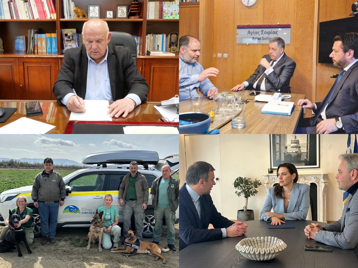 Ο Ταχιάος στη Νάουσα, το χιονοδρομικό κέντρο Λαϊλιά στο Ταμείο Ανάκαμψης και τα δηλητηριασμένα δολώματα στον Μαυρόγυπα