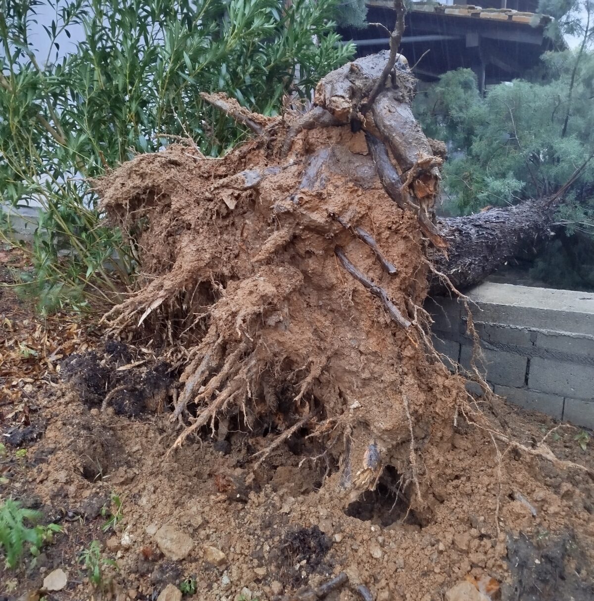 Πιο δυνατός ο άνεμος… Θεσσαλονίκης #343