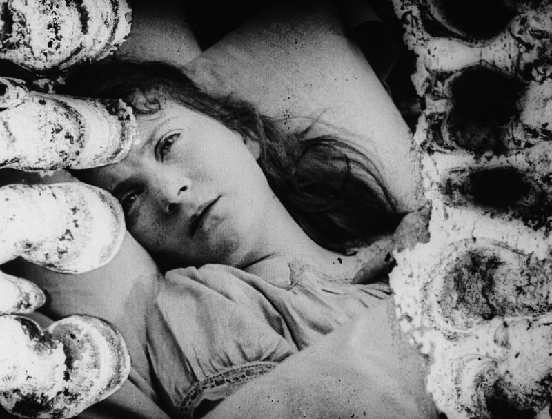 Φεστιβάλ Ντοκιμαντέρ Θεσσαλονίκης: Spotlight και Χρυσός Αλέξανδρος στον Μπιλ Μόρισον