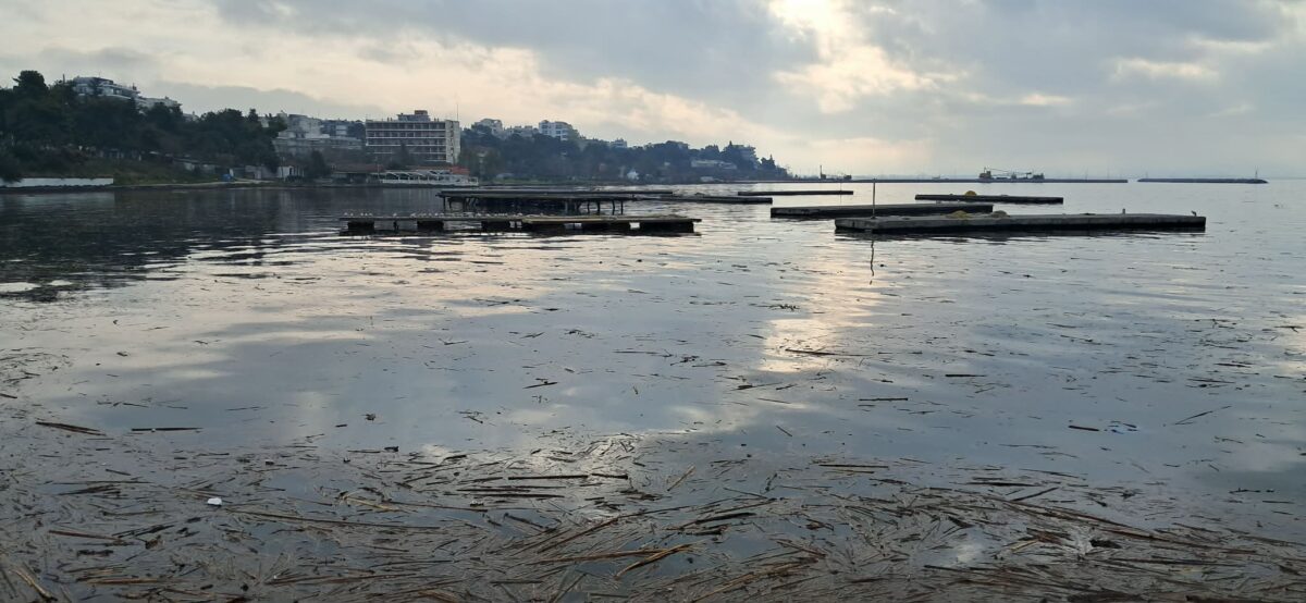 Η Μαρίνα της… παραμέλησης