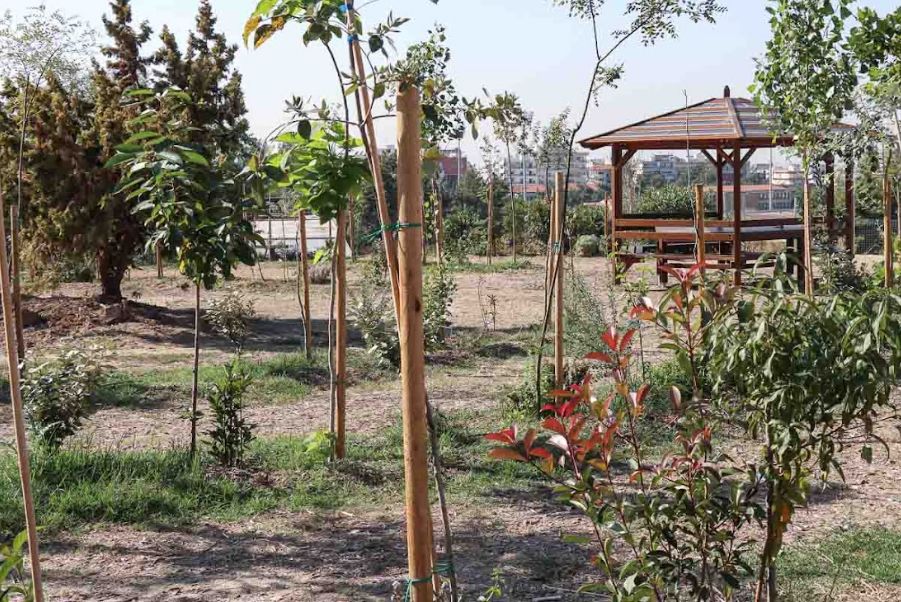 Το πρώτο αστικό Βρώσιμο Δάσος στη Θεσσαλονίκη ανοίγει διάλογο για το μέλλον του