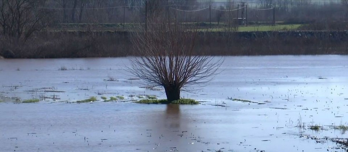 Διδυμότειχο