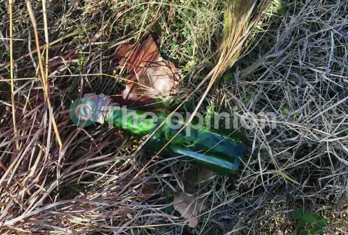 Δημογλίδου: Χρειάζεται χρόνος για την ταυτοποίηση των δραστών στο ΑΠΘ