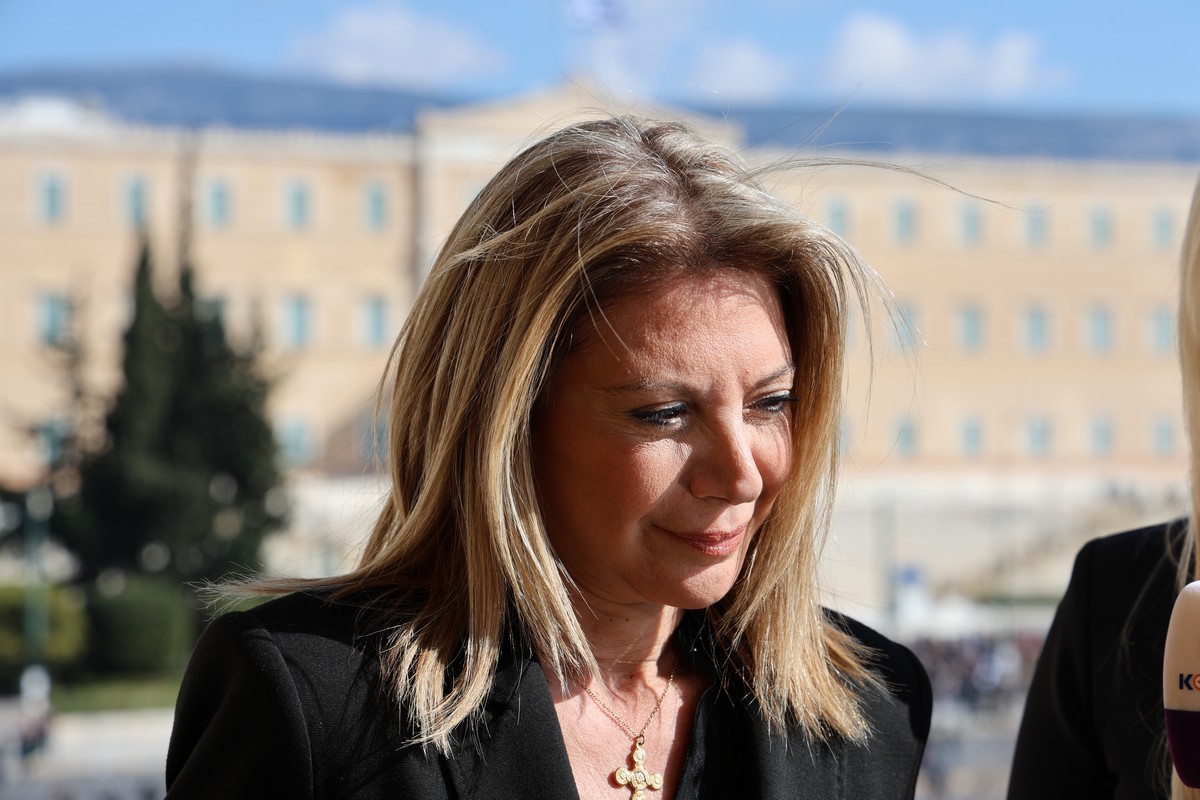 Στον Άρειο Πάγο σήμερα οι υπογραφές για το κόμμα της Καρυστιανού (VIDEO)