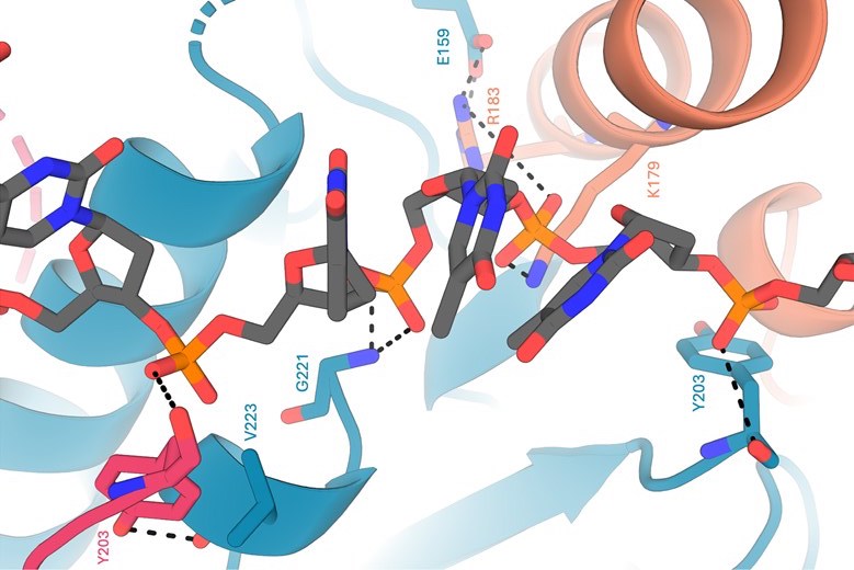 Πιο γρήγορα και πιο φθηνά ο εντοπισμός τροπικών λοιμώξεων!