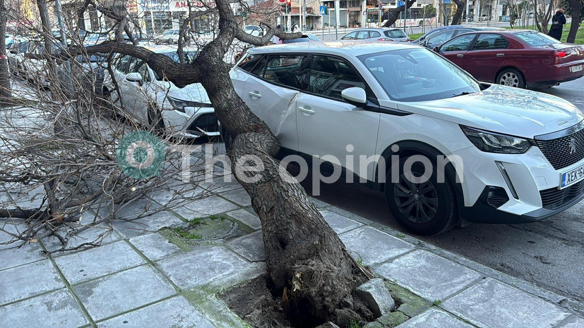 Κ. Μακεδονία: 650 κλήσεις δέχτηκε σήμερα η Πυροσβεστική λόγω των ισχυρών ανέμων