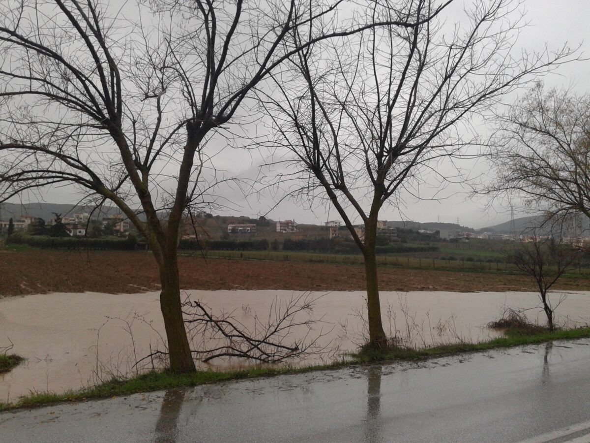 ΟΠΕΚΕΠΕ: Η “σοδειά” αγροτών-βουλευτών και πώς “έμπασε νερά”