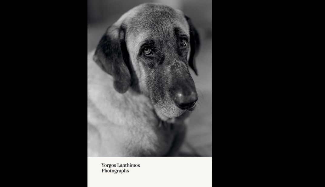 Από την εγκατάλειψη στην αγάπη: Πώς ο Βύρωνας βρέθηκε κοντά στον Λάνθιμο (ΦΩΤΟ – VIDEO)