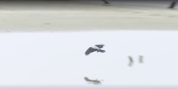 Νέοι Επιβάτες Θεσσαλονίκης: Η θάλασσα υποχωρεί λόγω άμπωτης και ατμοσφαιρικών συνθηκών (VIDEO)