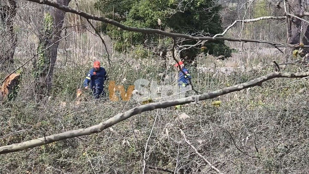 Νεκρός άνδρας που καταπλακώθηκε από δέντρο μπροστά στη σύζυγό του (VIDEO)