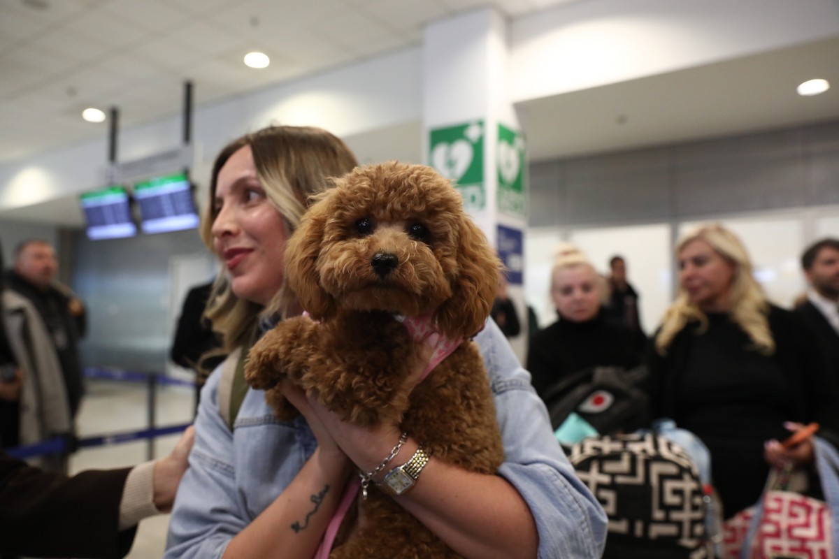 ιδιοκτήτες