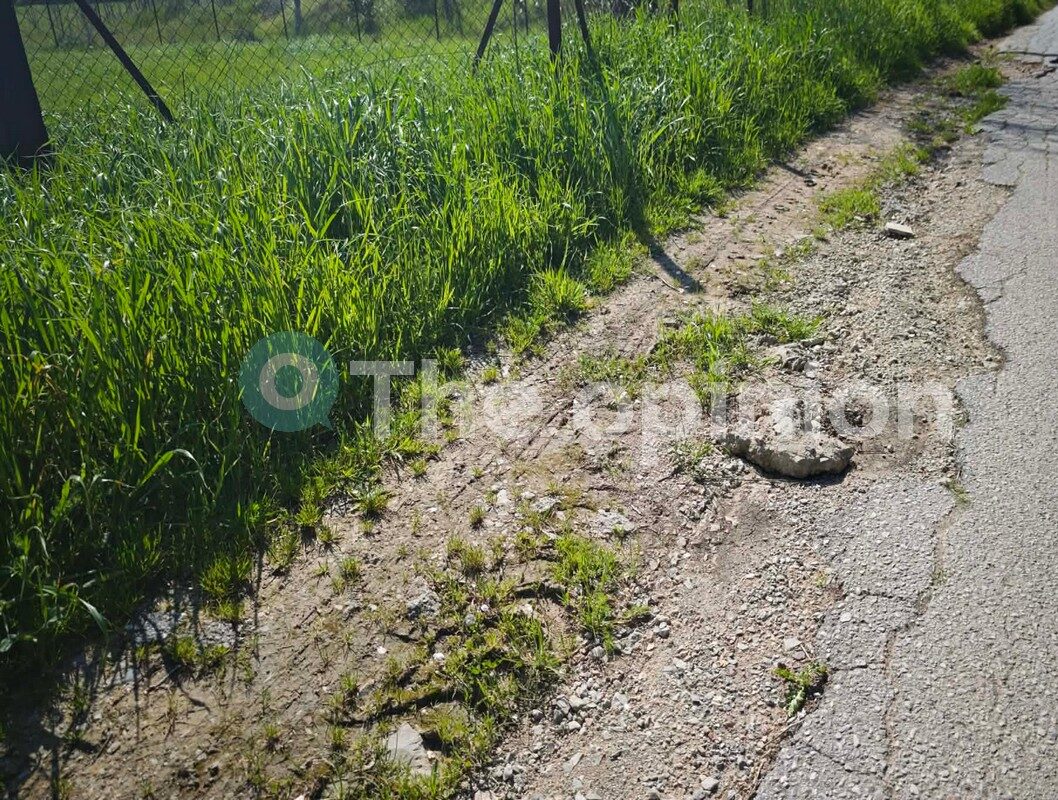 «Πληγή» οι υποδομές σε μια υποσχόμενη επενδυτικά περιοχή της Θεσσαλονίκης (ΦΩΤΟ)