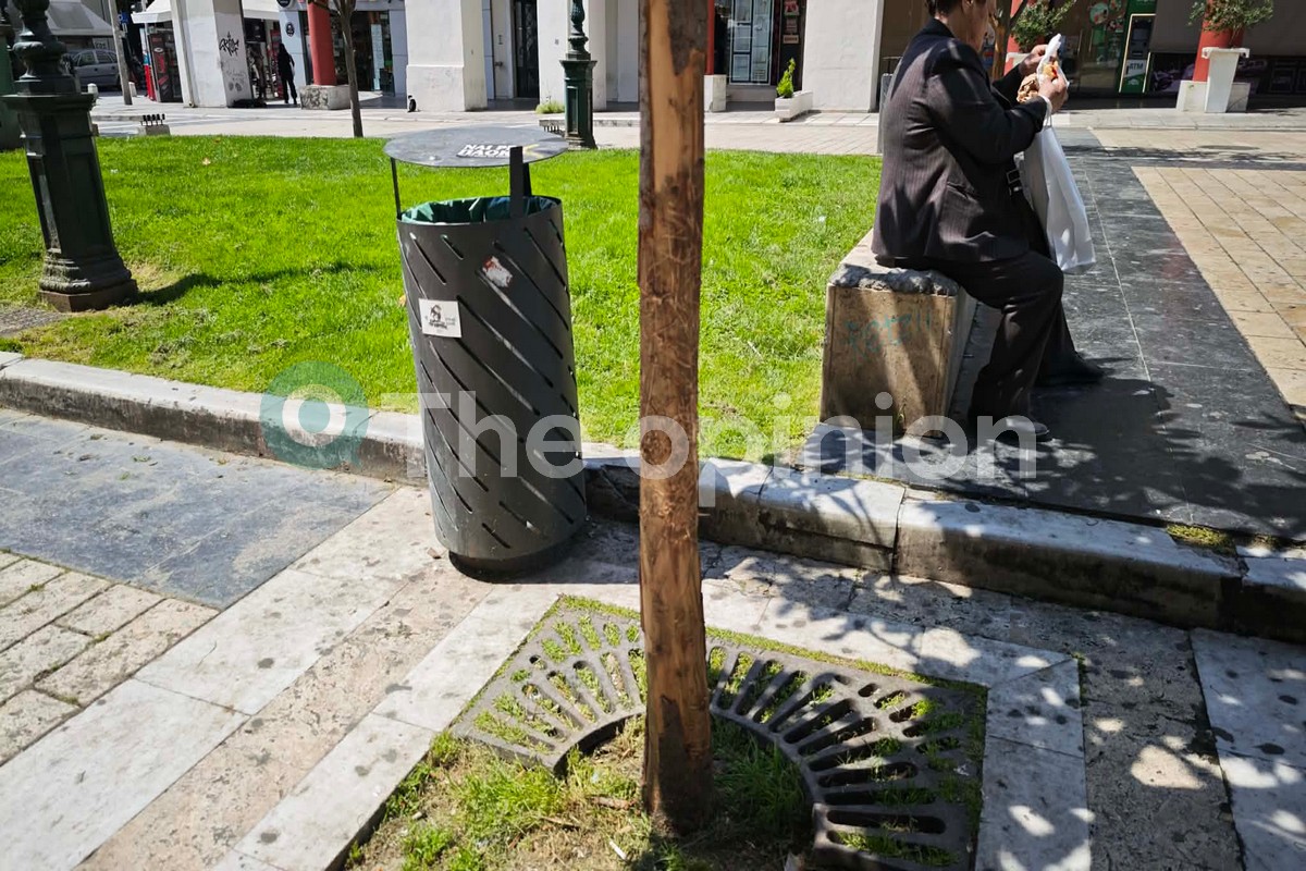 Μήνυση κατ’ αγνώστων από τον δήμο Θεσσαλονίκης για βανδαλισμό δέντρων (ΦΩΤΟ)