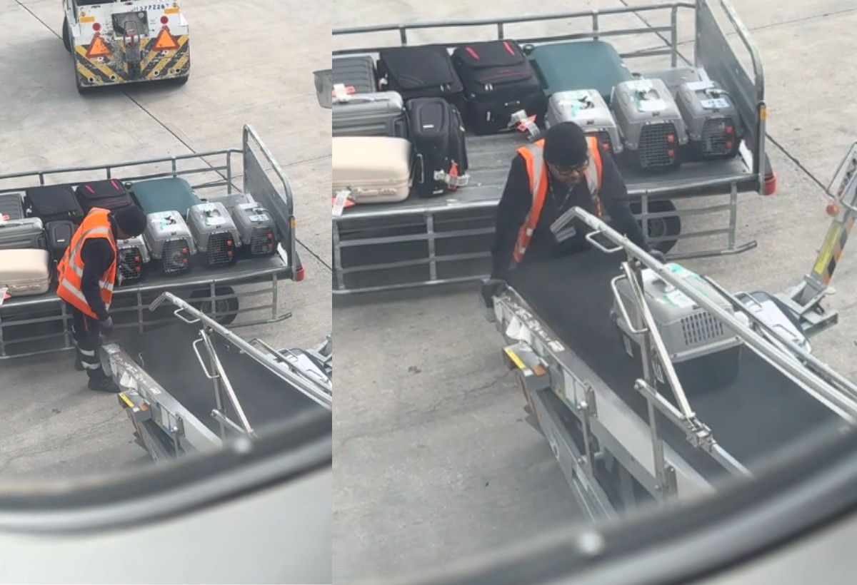 Εργαζόμενος στο Ελ. Βενιζέλος υποδέχεται με τον πιο γλυκό τρόπο κατοικίδια από τον χώρο αποσκευών και «λιώνει» το διαδίκτυο (VIDEO)