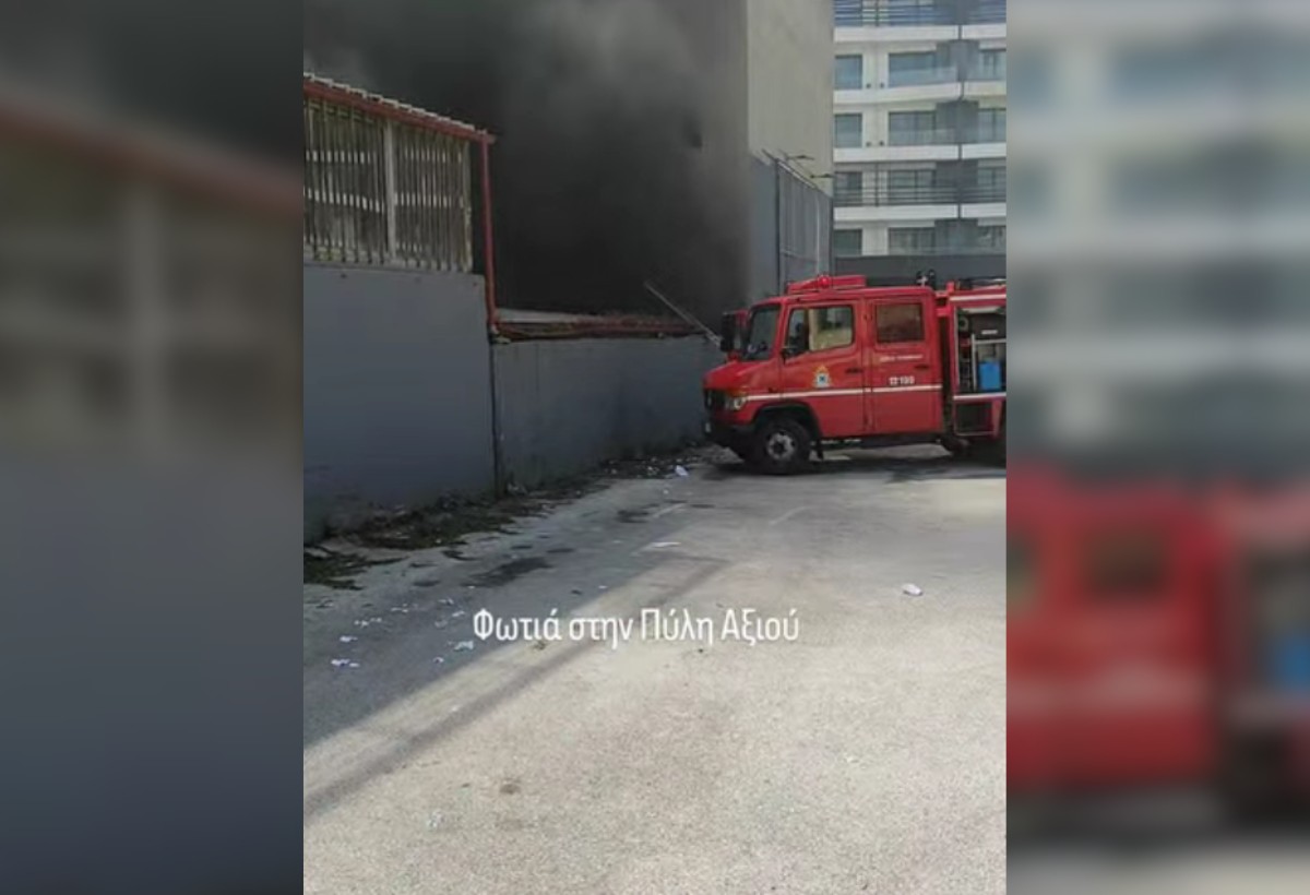 Θεσσαλονίκη: Φωτιά σε συνεργείο αυτοκινήτων κοντά σε γνωστό κέντρο διασκέδασης (VIDEO)