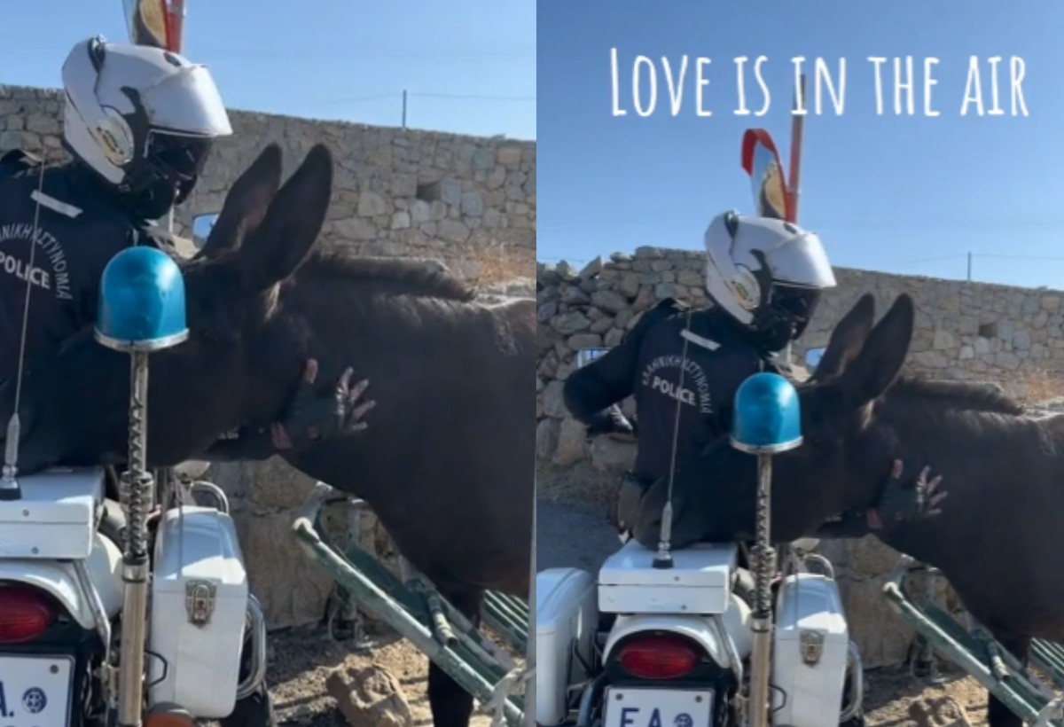 Ο πιο χαδιάρης γαϊδουράκος ζητάει αγκαλιές από αστυνομικό και γίνεται viral (VIDEO)