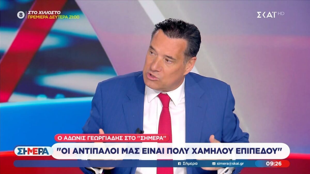 Γεωργιάδης: «Αν έλεγες σε άλλη κυβέρνηση ότι δεν πάει καλά, θα νόμιζαν ότι έχεις πάρει κάνναβη» (VIDEO)