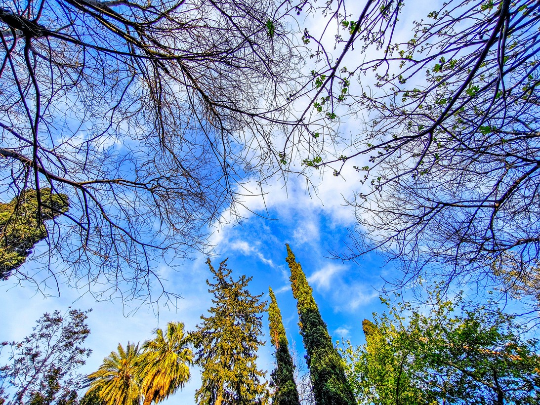 «Ευχάριστη έκπληξη» την Μεγάλη Εβδομάδα ο καιρός (VIDEO)