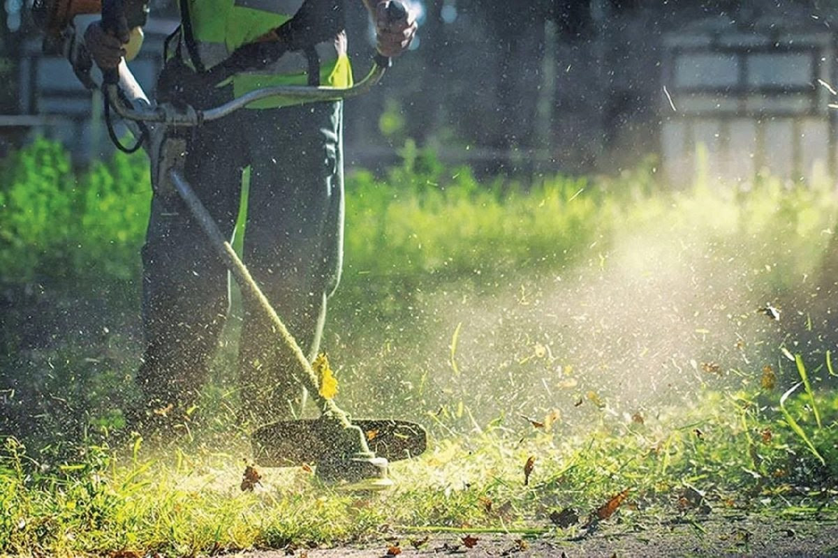 Καθαρισμός οικοπέδων: Νέοι κανόνες και πρόστιμα για ιδιοκτήτες (VIDEO)