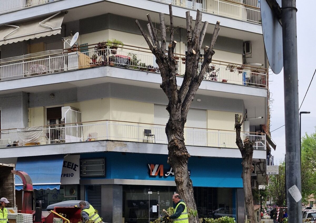 Καυγάς και πάλι στον δήμο Θεσσαλονίκης για το πράσινο – Κλαδεύτηκαν 7.000 δέντρα