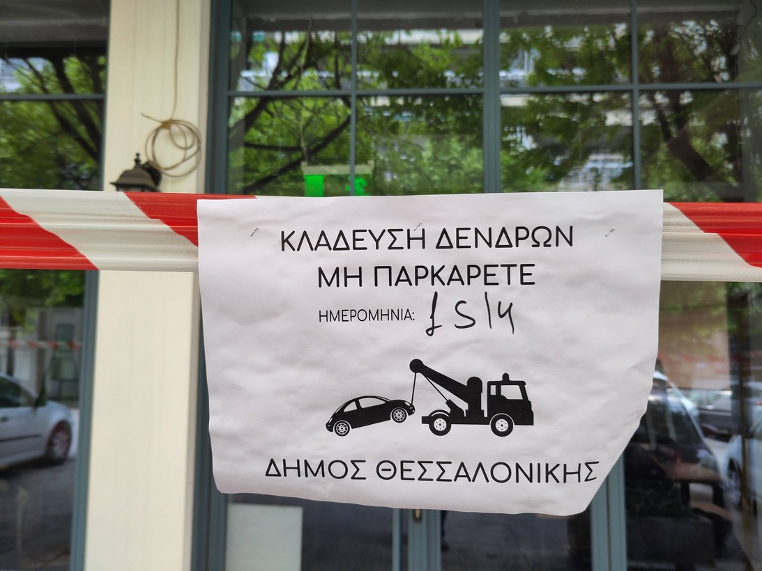 «Πόλη Ανάποδα»: Να σταματήσουν τώρα οι καταστροφικές εκτός εποχής κλαδεύσεις