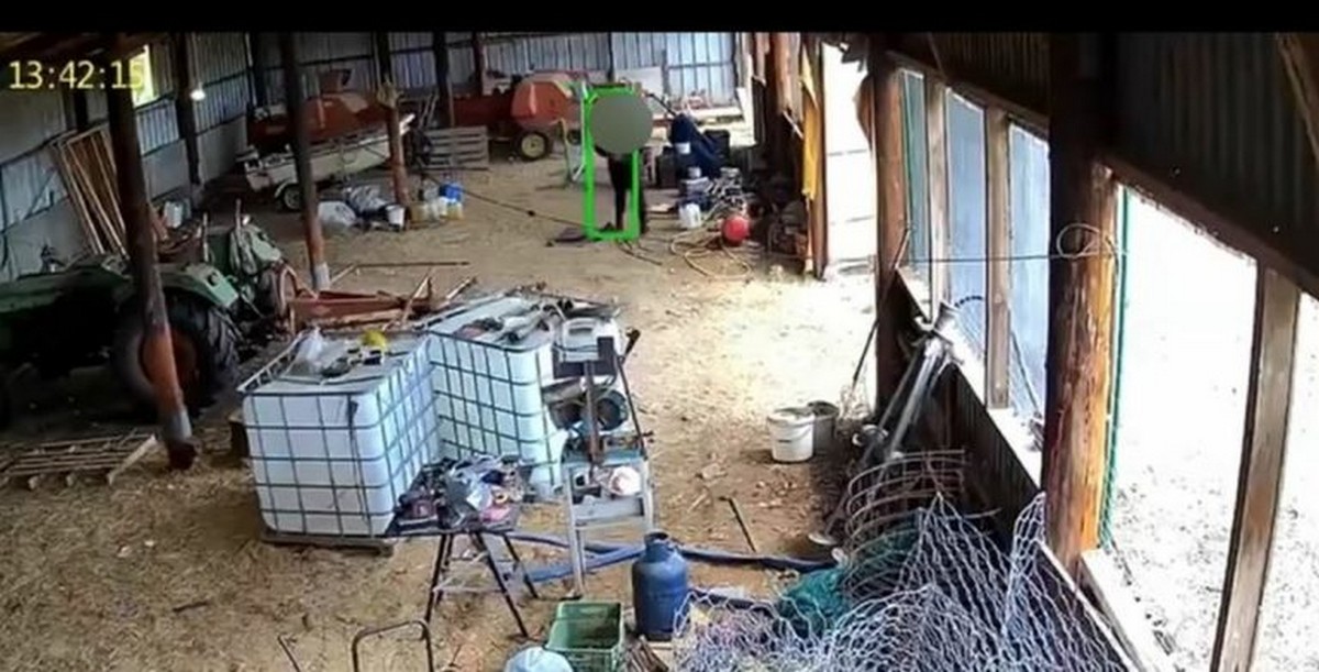 Θεσσαλονίκη: Καρέ – καρέ η δράση διαρρηκτών σε ιδιωτική αποθήκη – Ο ιδιοκτήτης τους φώναζε από κάμερα