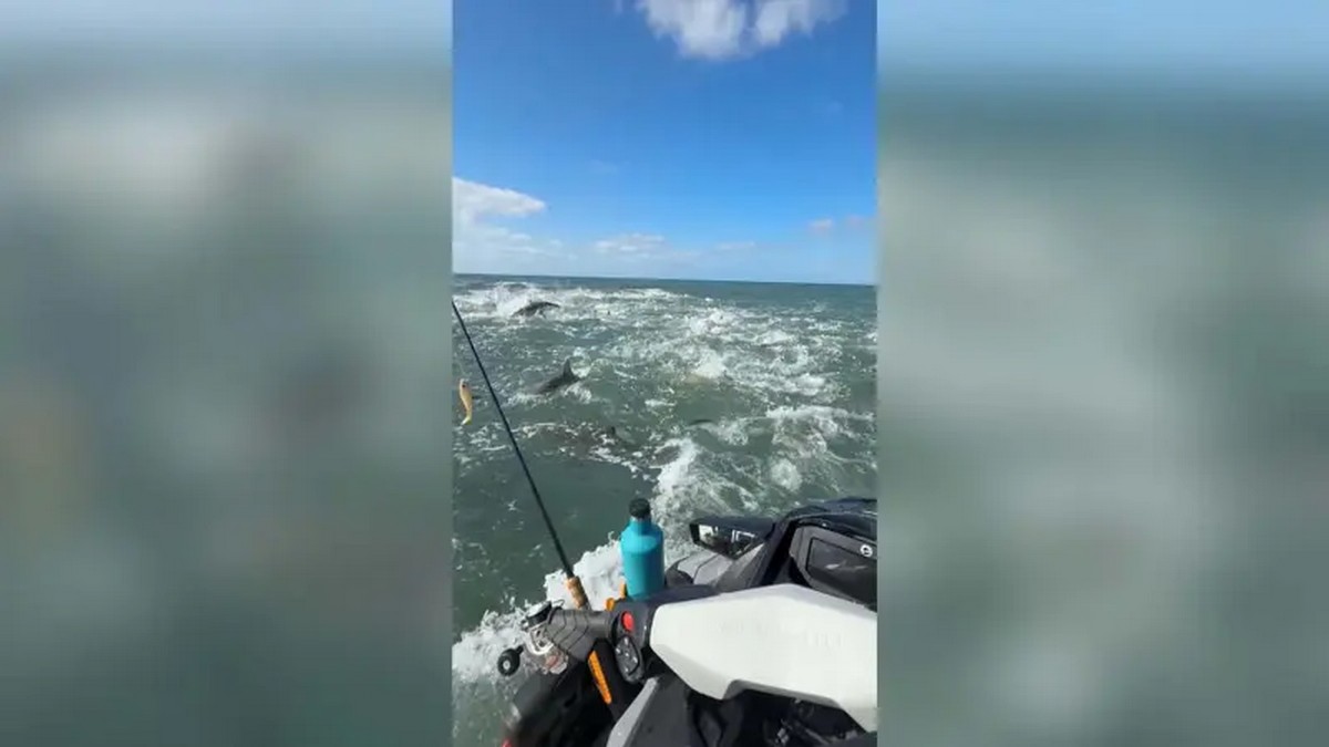 Η σοκαριστική στιγμή που δεκάδες καρχαρίες περικυκλώνουν ψαρά (VIDEO)