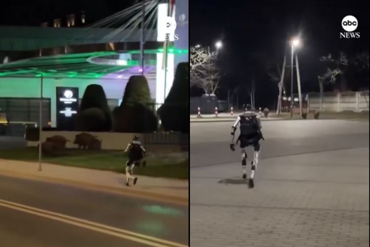 Ρομπότ κυνηγάει αγριογούρουνα στους δρόμους της Πολωνίας (VIDEO)