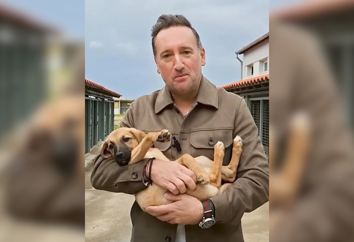 «Δώσε μία δεύτερη ευκαιρία αγάπης»: Η πρωτοβουλία του δήμου Αλεξανδρούπολης για την υιοθεσία αδέποστων (VIDEO)