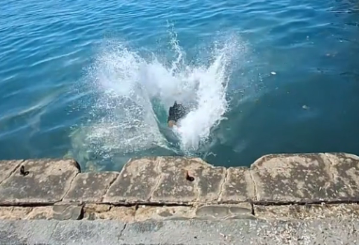 Νεαρός φόρεσε το μαγιό του, βούτηξε στον Θερμαϊκό μπροστά στον Λευκό Πύργο και έγινε…viral (VIDEO)