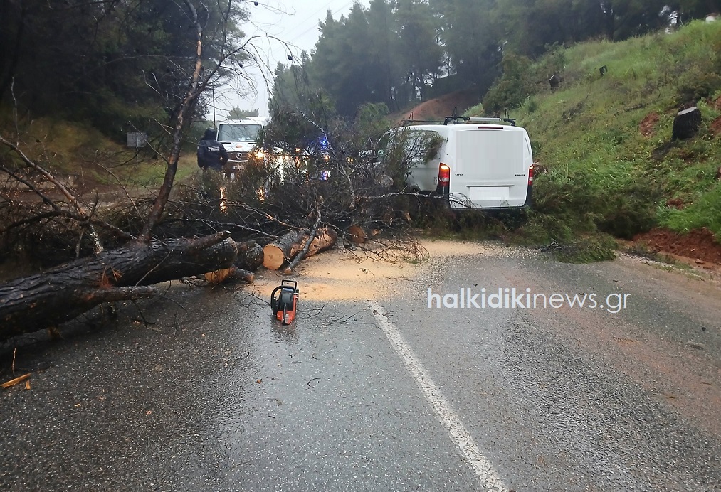 Από τροχαία ατυχήματα μέχρι κατολισθήσεις – Η κακοκαιρία «Erminio» έπληξε τη Χαλκιδική (ΦΩΤΟ)