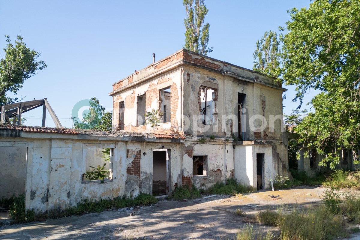 Ζιάκα