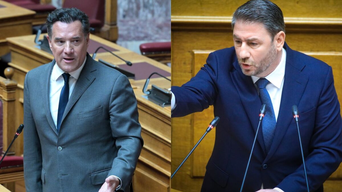Άδωνις Γεωργιάδης, Νίκος Ανδρουλάκης
