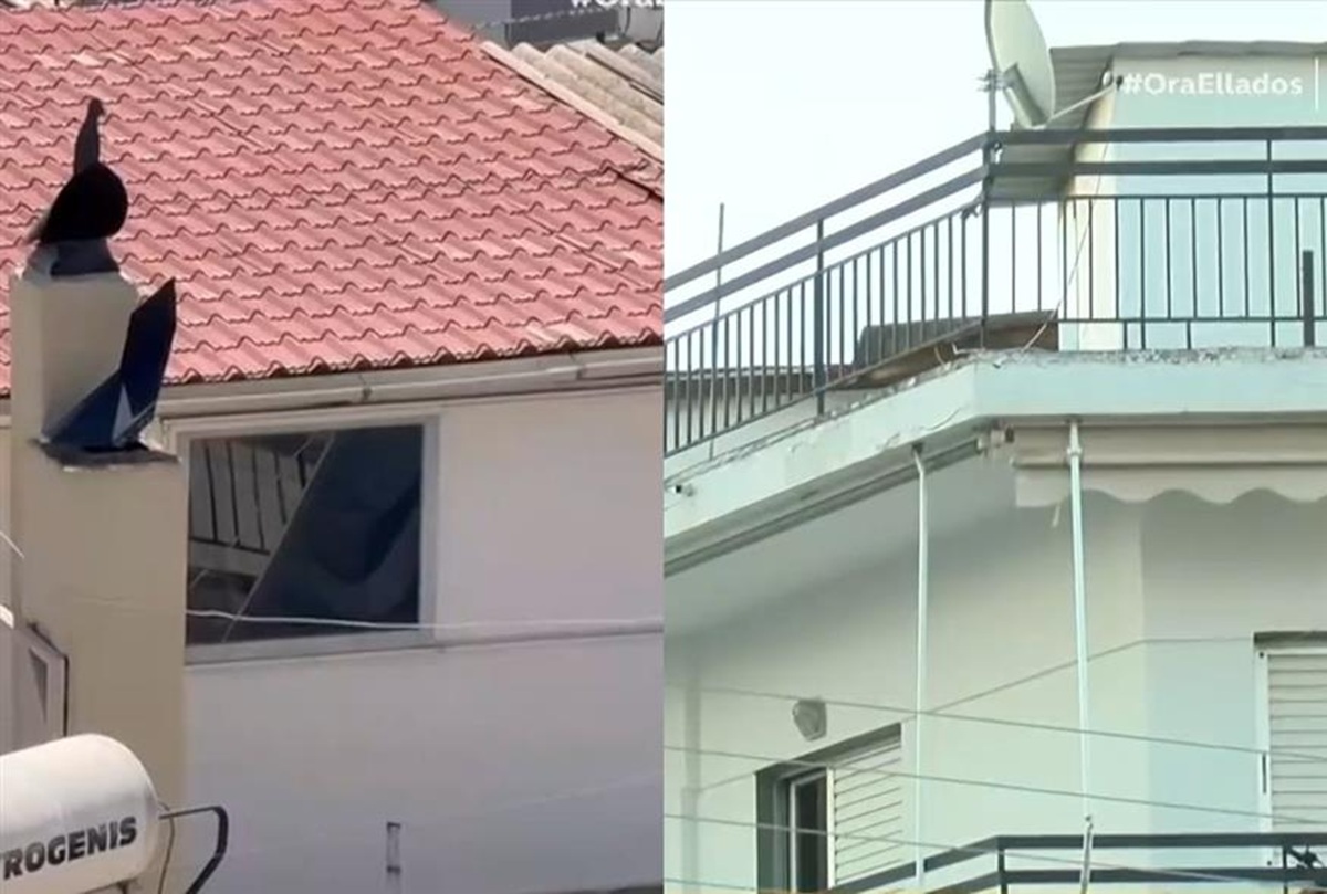 Περιστέρι: Έξι παιδιά ζούσαν σε 27τμ. γεμάτα σκουπίδια και ακαθαρσίες (VIDEO)