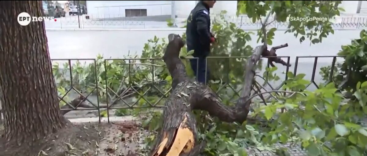 Θεσσαλονίκη: Μεγάλο κλαδί έπεσε στην Τσιμισκή (VIDEO)