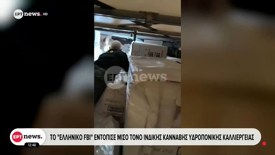 «Χτύπημα» του ελληνικού FBI στο καρτέλ ναρκωτικών: Κατασχέθηκε μισός τόνος κάνναβης στην Ηγουμενίτσα (VIDEO)
