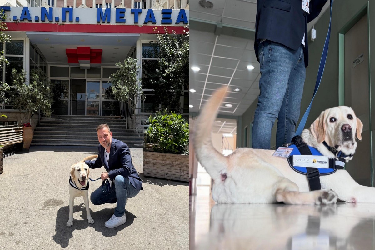 σκύλος