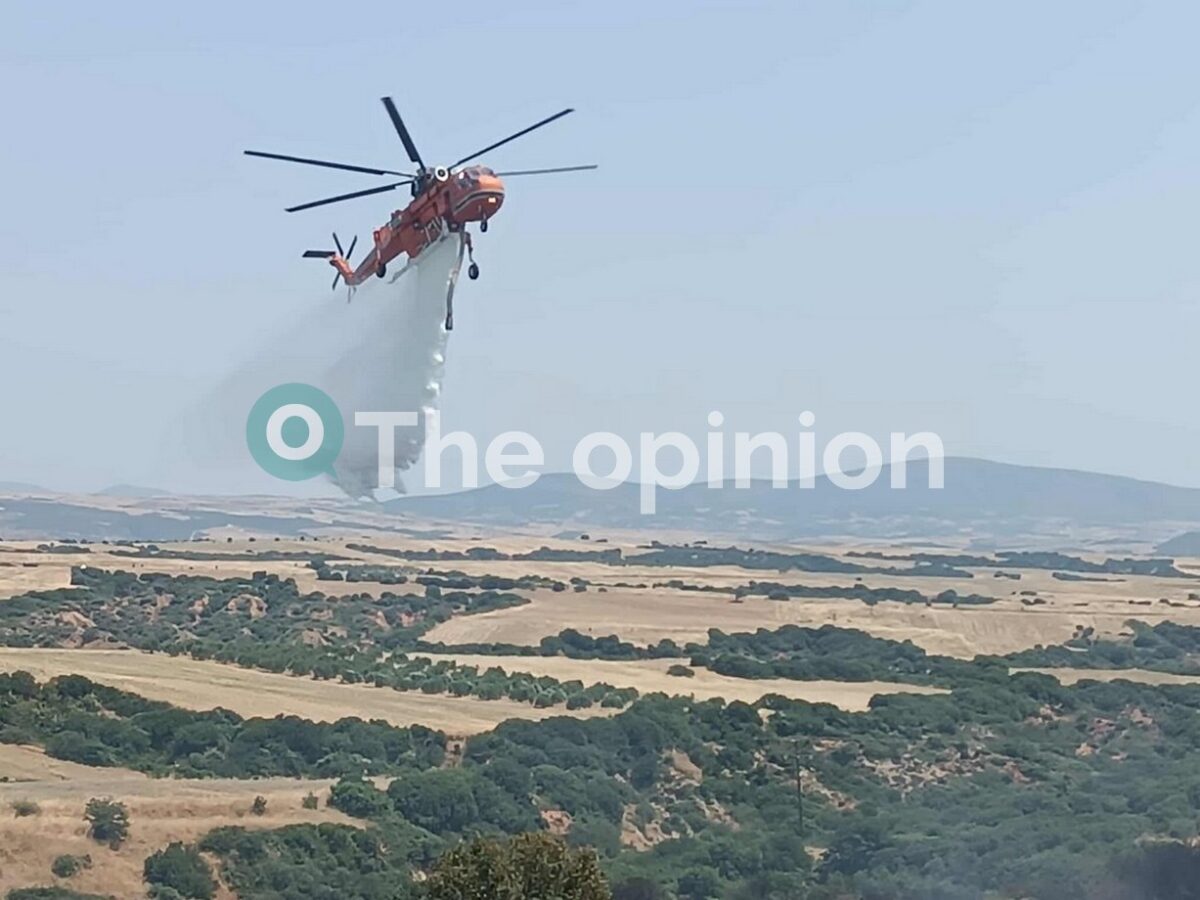 «ΔΙΑ ΠΥΡΟΣ 2026»: Σήμερα (21/5) η κορύφωση της άσκησης δασοπυρόσβεσης στο Δασόκτημα Ωραιοκάστρου