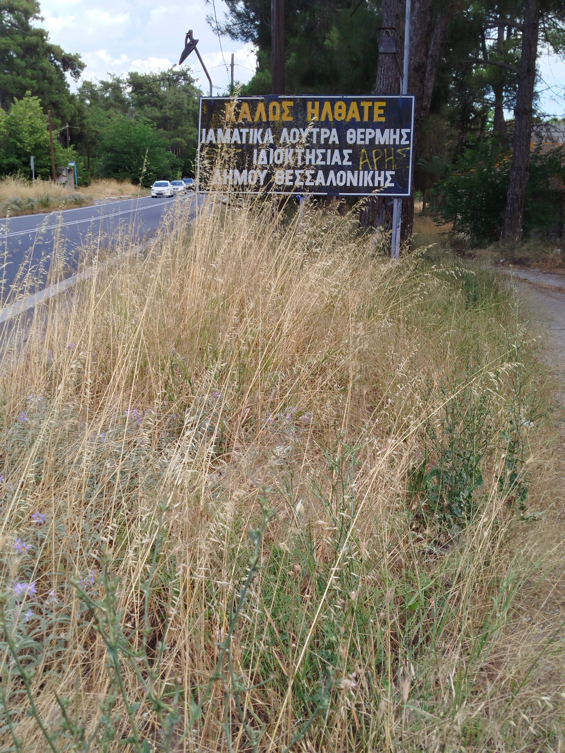Θεσσαλονίκη: Το χορταριασμένο… δημοτικό οικόπεδο πολλών στρεμμάτων (ΦΩΤΟ)