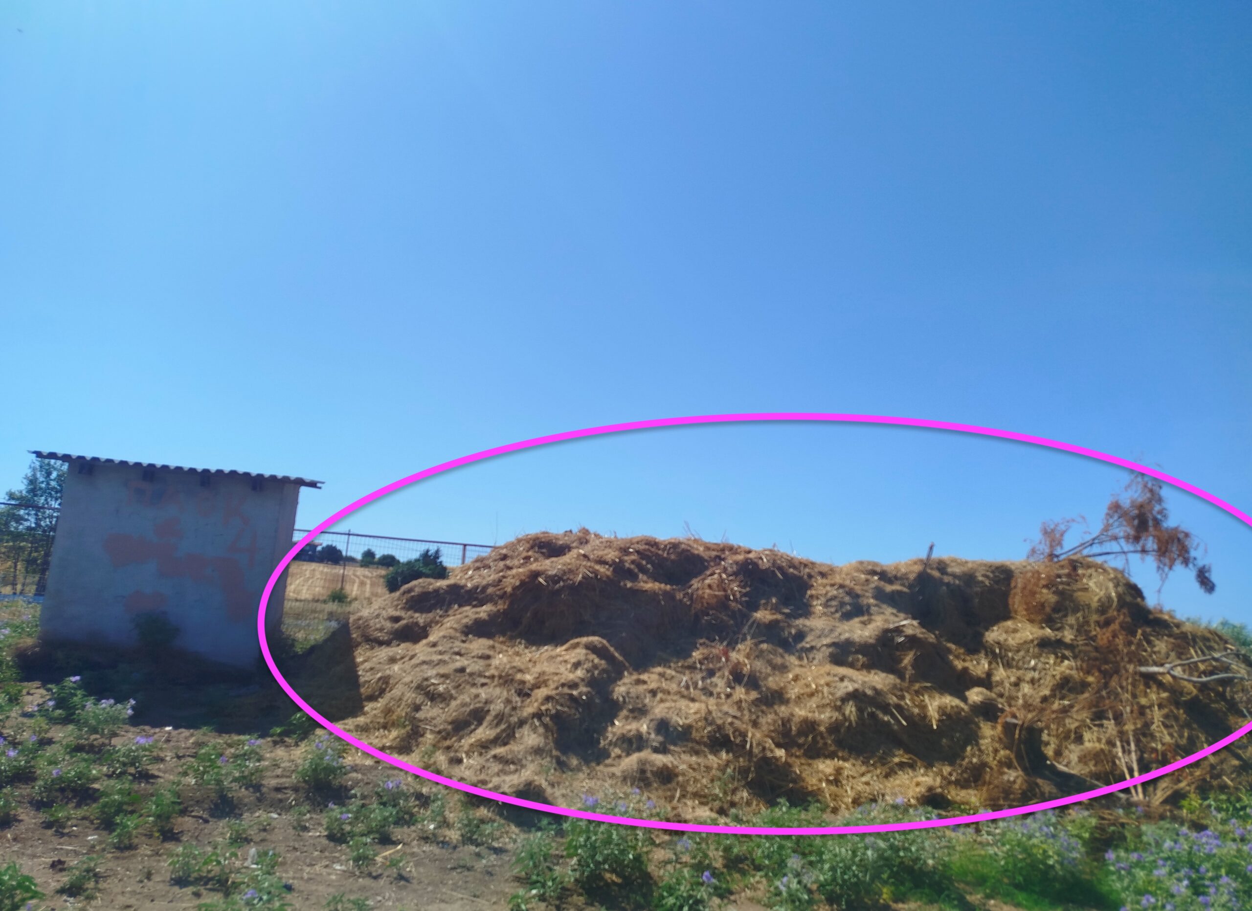 Χαλκιδική: “Βουνό” τα χόρτα έξω από γήπεδο! (ΦΩΤΟ)
