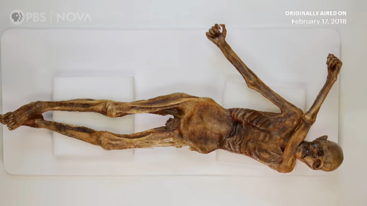 Έφτιαξαν ψωμί με μαγιά από τα έντερα μούμιας