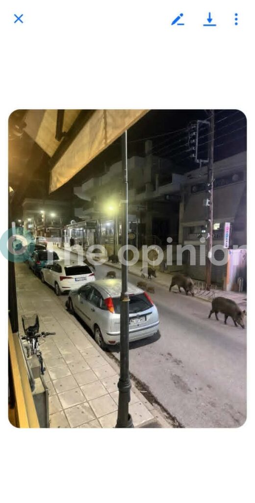 Μια διαφορετική… νυχτερινή παρέλαση στο κεντρικότερο σημείο στο Ωραιόκαστρο