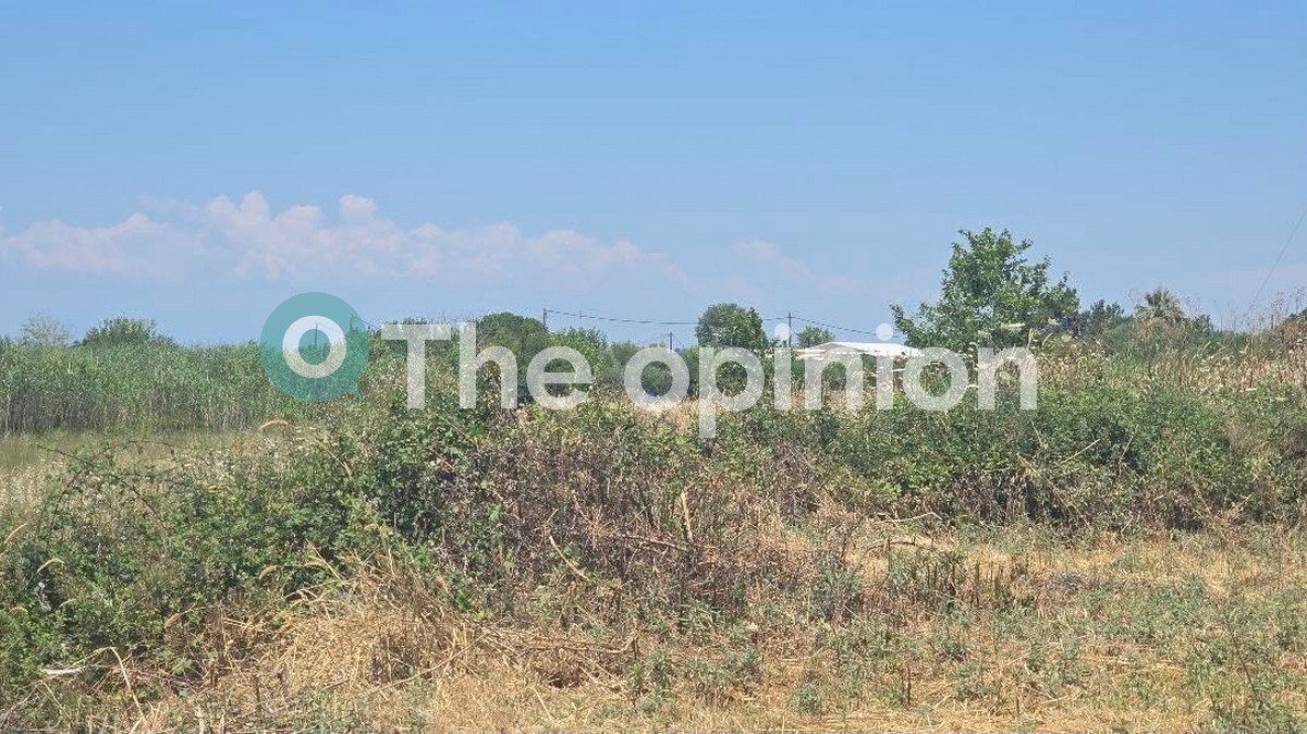 «Έπνιξαν» τα χόρτα τον δήμο Θερμαϊκού (ΦΩΤΟ)