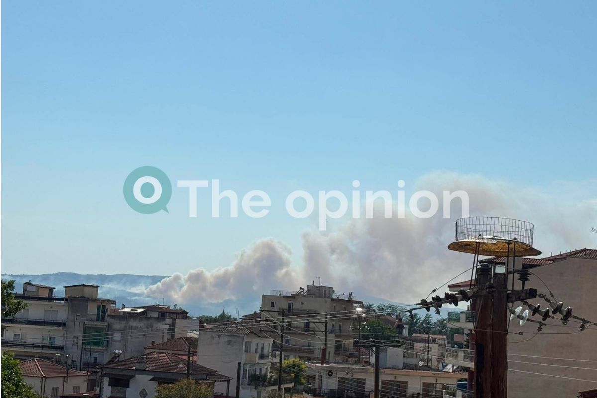 Θεσσαλονίκη: Φωτιά στο Δερβένι