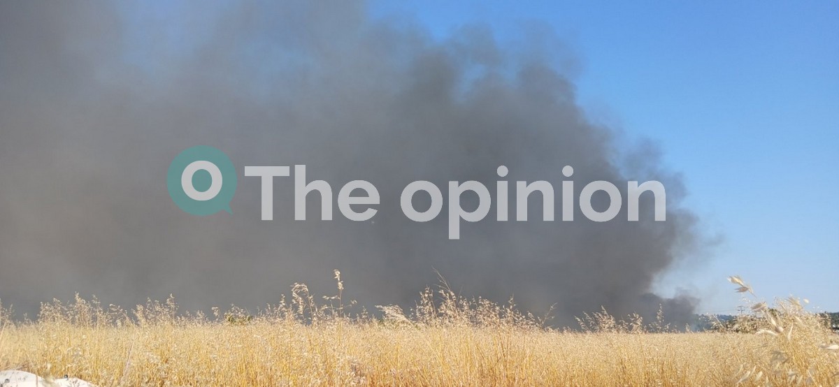Θεσσαλονίκη: Υπό πλήρη έλεγχο η φωτιά στα Τσαΐρια – «Κάηκε σχεδόν όλος ο οικισμός» (ΦΩΤΟ-VIDEO)