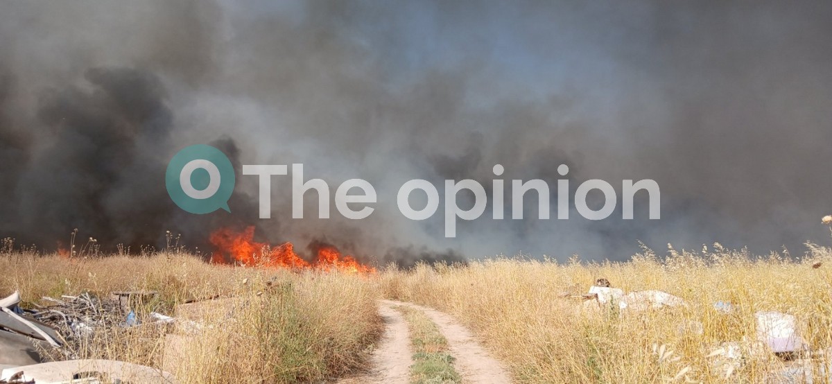 Θεσσαλονίκη: Υπό πλήρη έλεγχο η φωτιά στα Τσαΐρια – «Κάηκε σχεδόν όλος ο οικισμός» (ΦΩΤΟ-VIDEO)
