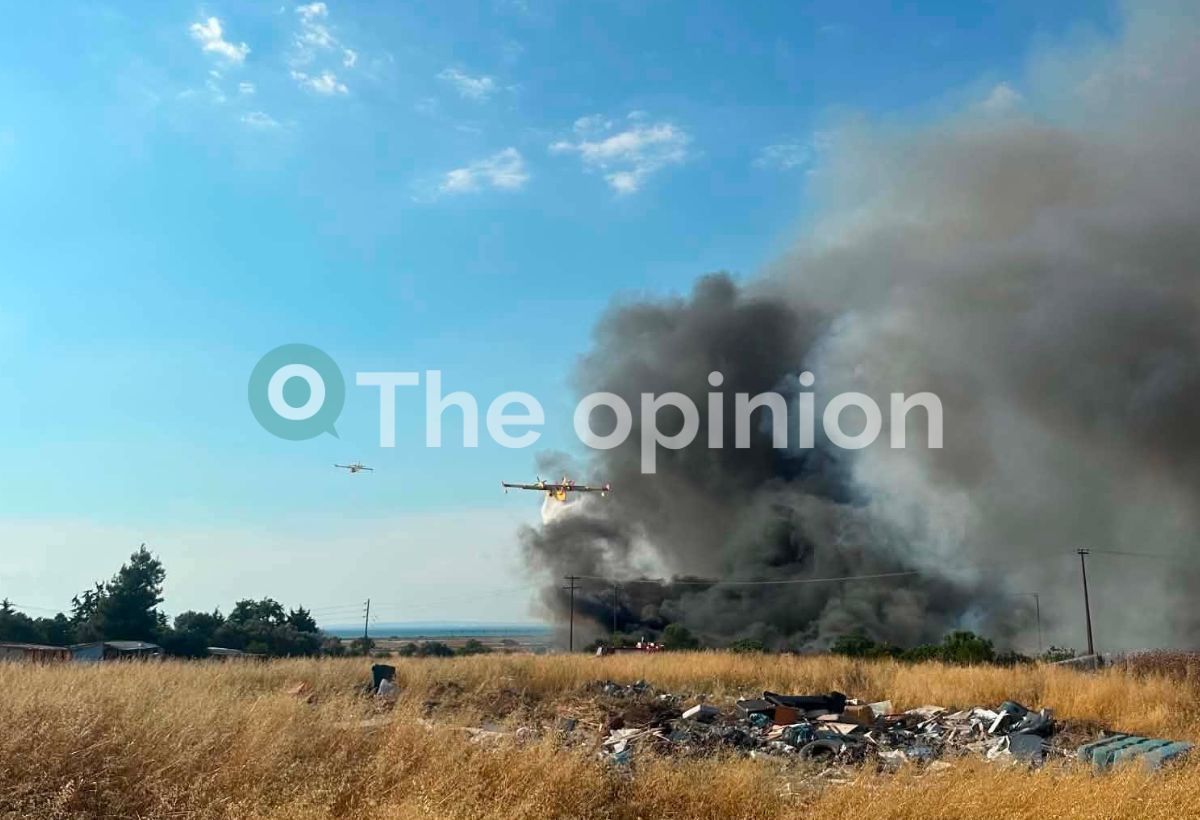 Θεσσαλονίκη: Υπό πλήρη έλεγχο η φωτιά στα Τσαΐρια – «Κάηκε σχεδόν όλος ο οικισμός» (ΦΩΤΟ-VIDEO)